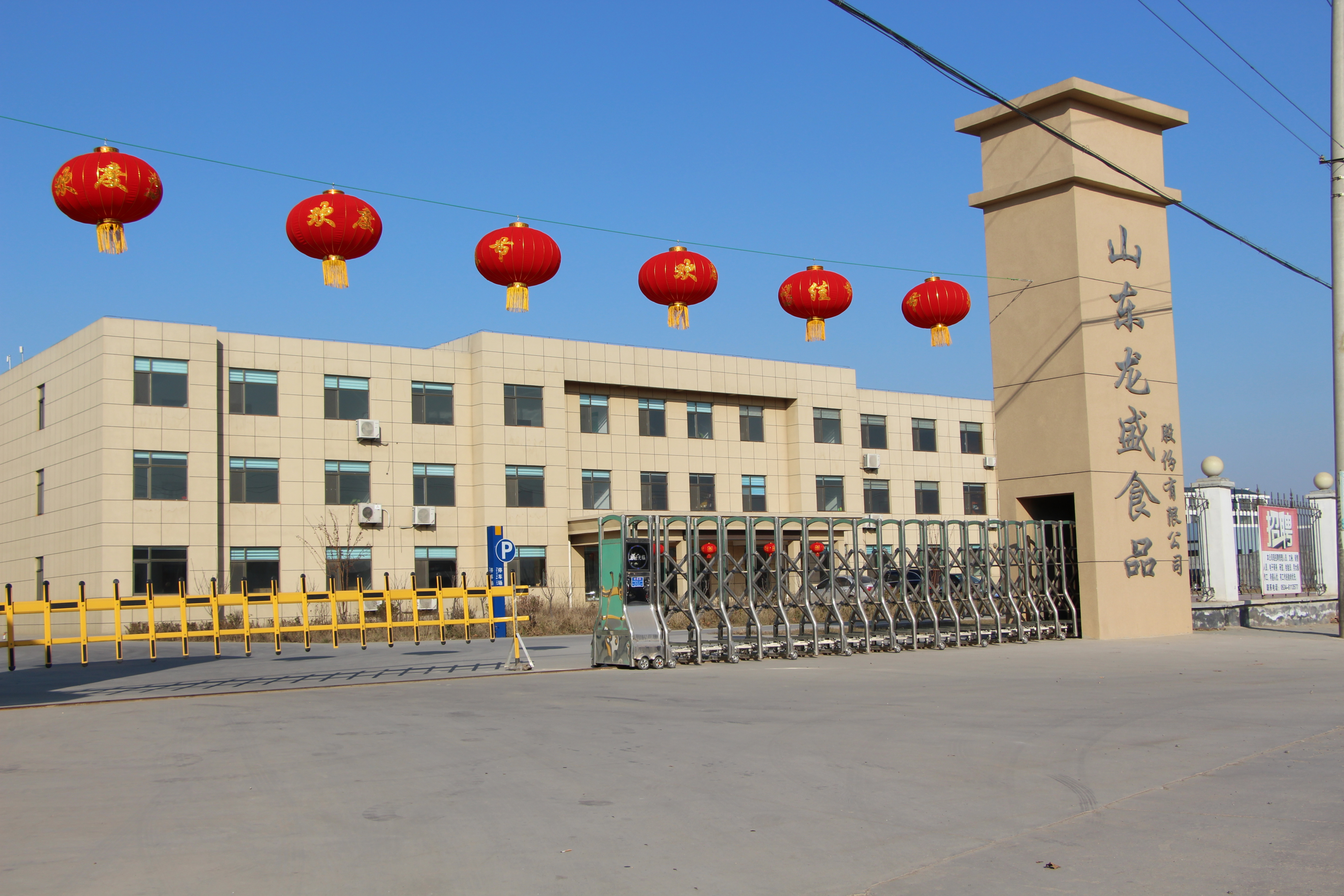 龙盛股份(杭州龙盛股票行情)