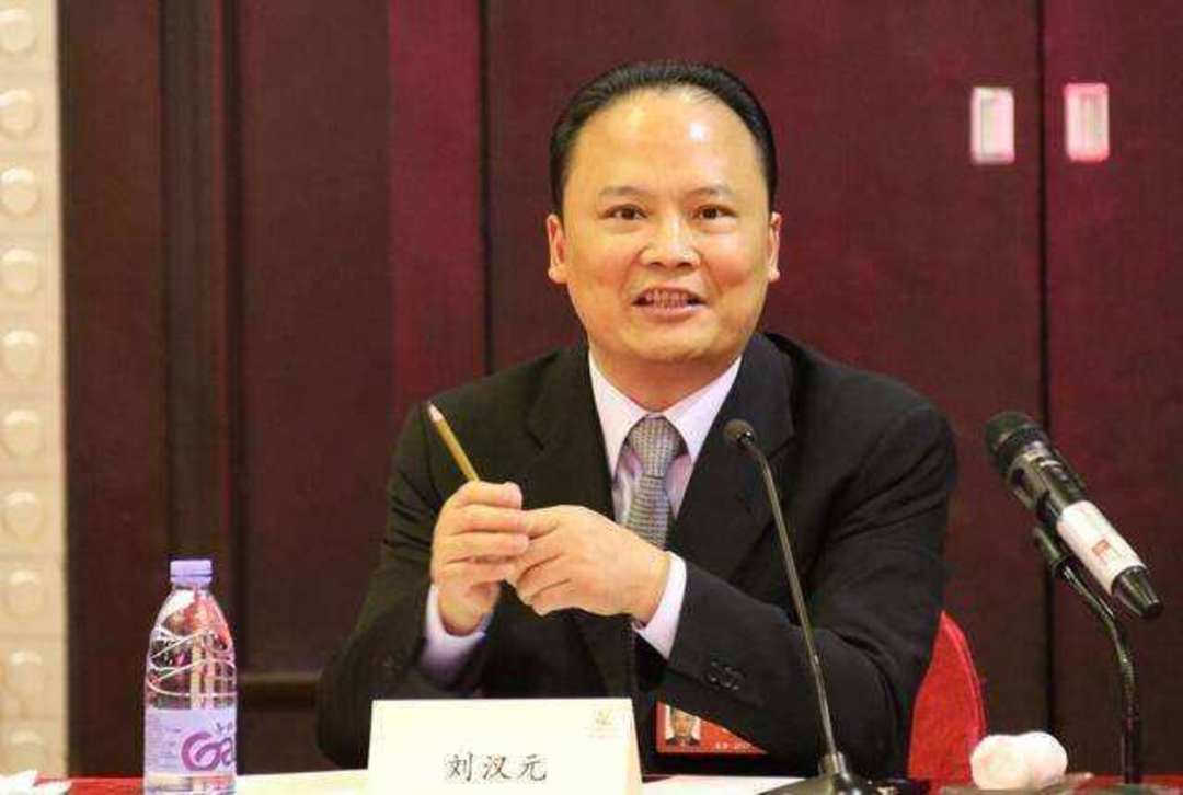 刘汉元(刘汉元和刘勇好是什么关系)