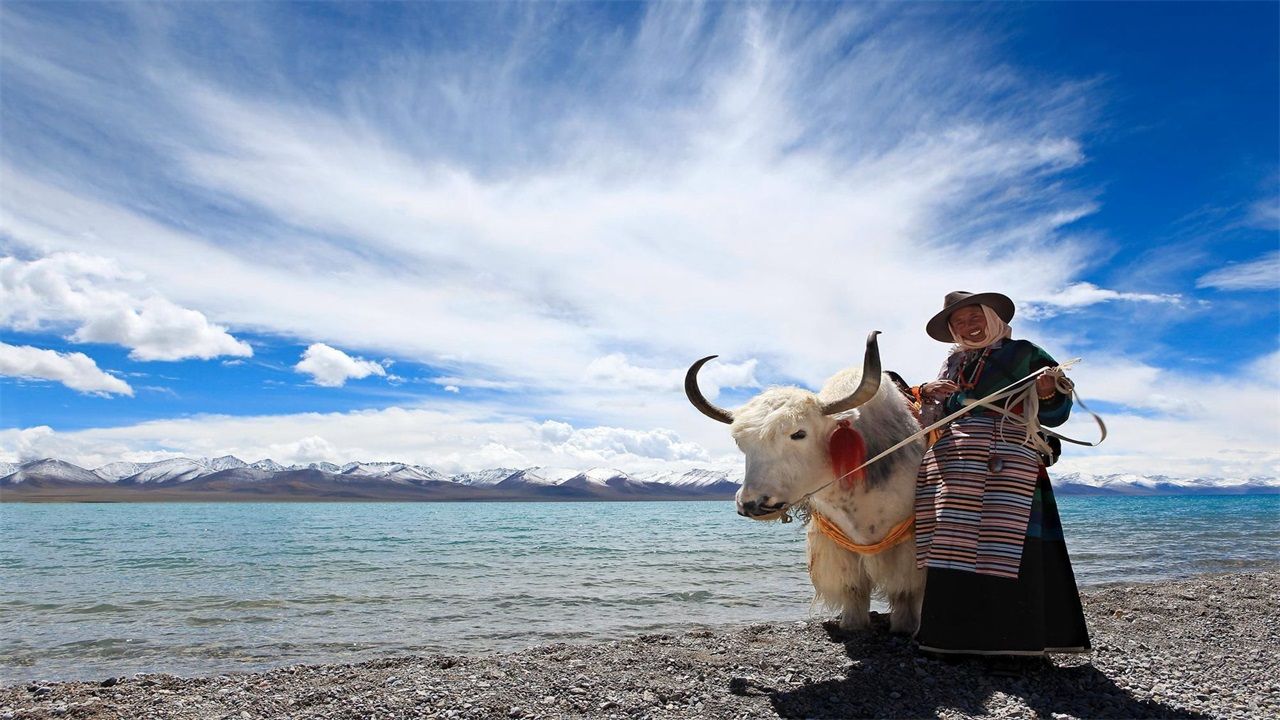 旅游人(旅游人的文案)