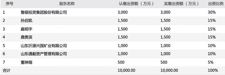 鲁银投资(鲁银投资集团是国企吗)