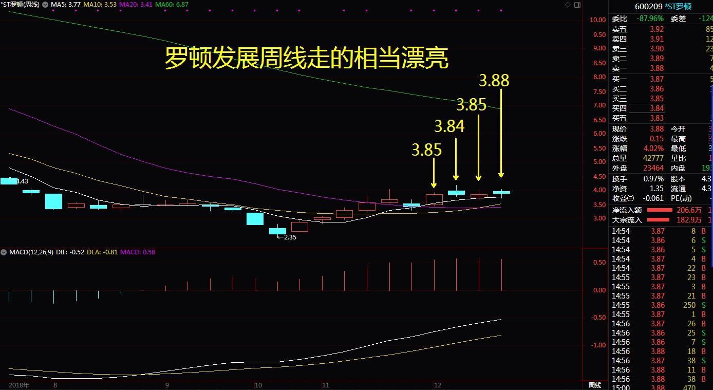 罗顿发展股吧(罗顿发展2019重组能成功吗)