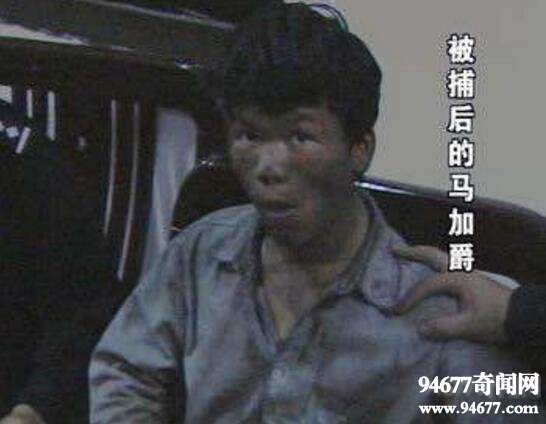 马加爵照片(马加爵最帅的一张照片)