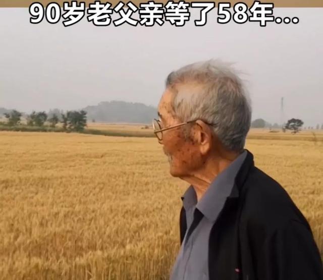 罗凤坤(罗凤坤个人资料身价多少亿)