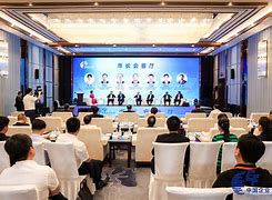 马明伟(马明伟中压直流输电系统)