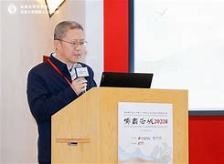 马明伟(马明伟中压直流输电系统)