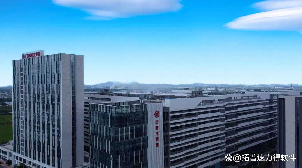 龙集团(龙健集团)
